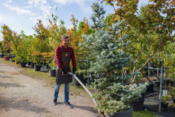 Best Weed Control  in Delano, MN